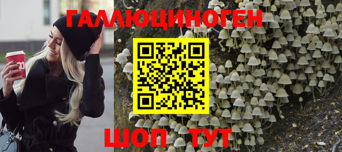 Кинель  Галлюциногенные грибы прущие грибы  Вход с VPN 